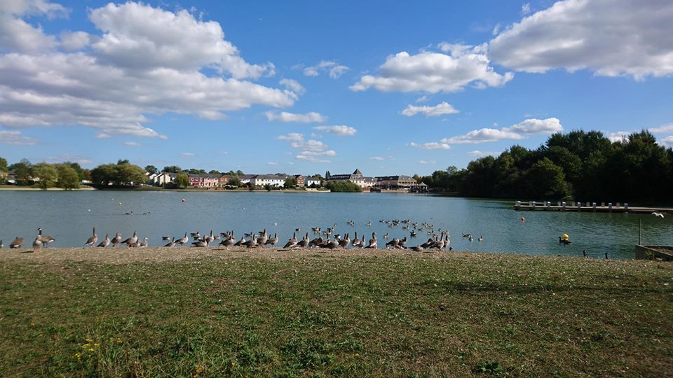 Watermead Lake walk, Aylesbury, Bucks | Review by Free Time with the Kids | Where can you feed the ducks in Aylesbury 
