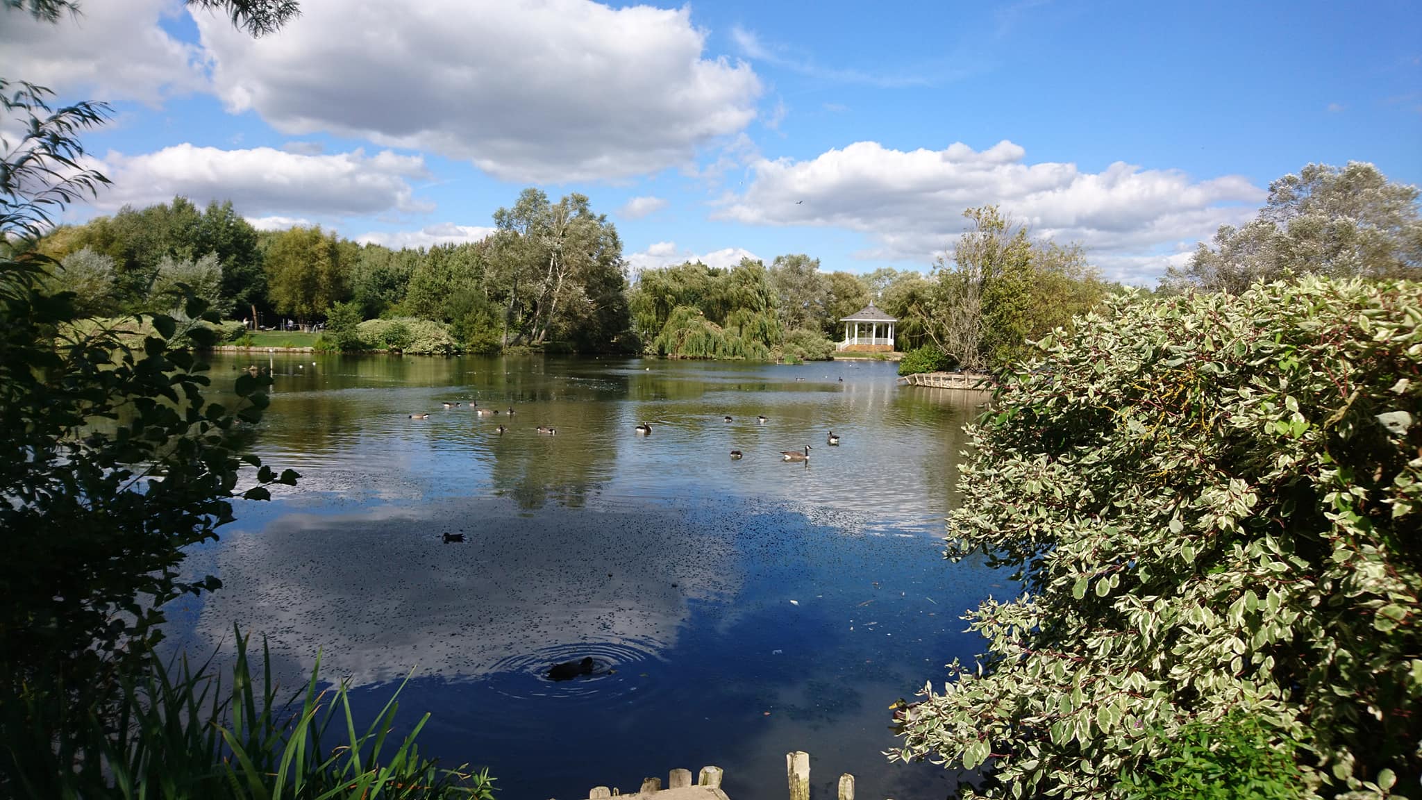 Watermead Lake walk, Aylesbury, Bucks | Review by Free Time with the Kids | Where can you feed the ducks in Aylesbury 