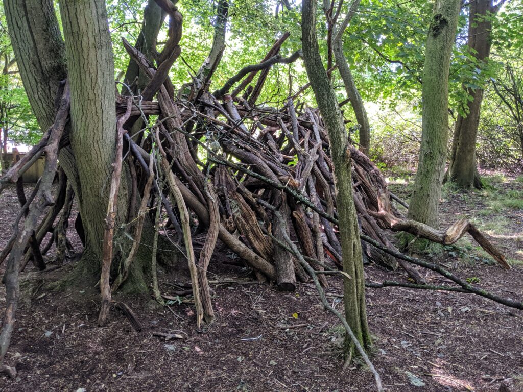 Ashridge Estate Review | Hertfordshire | Free Time with the Kids