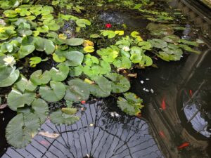 Orangery at Castle Ashby | Free Time with the Kids