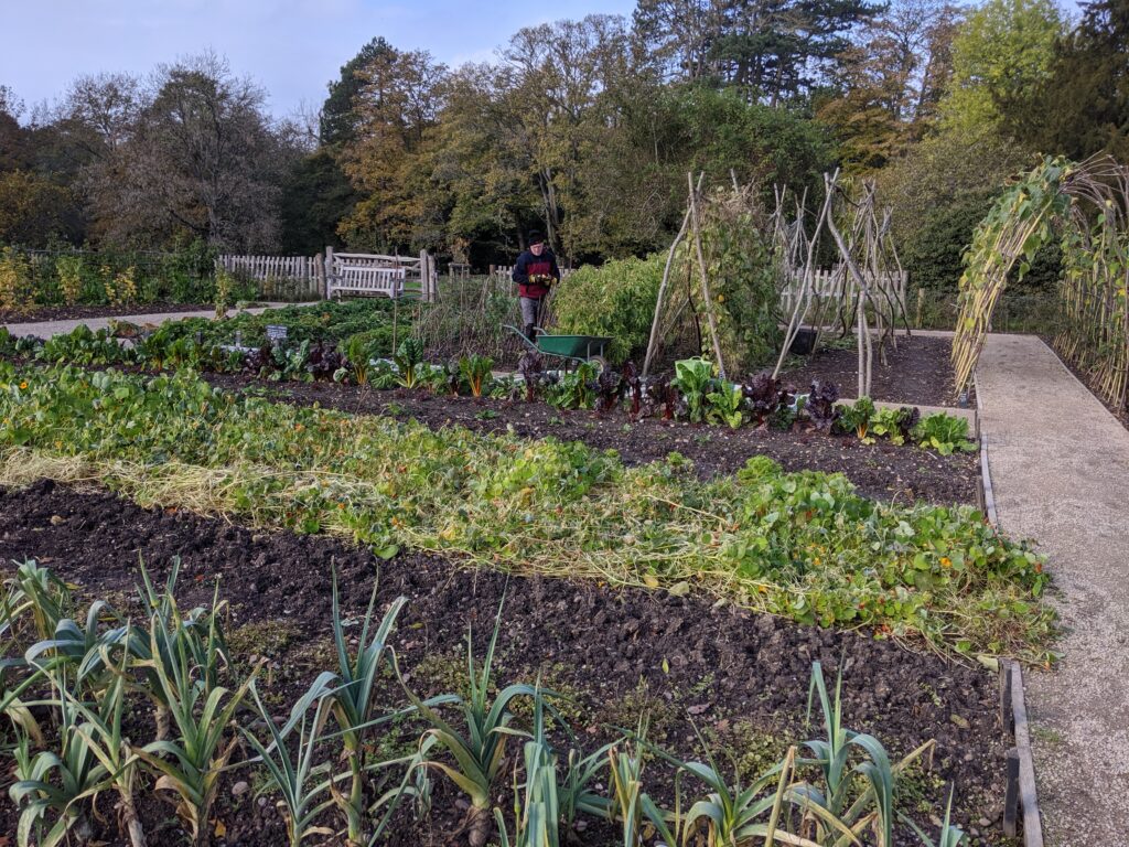 Vegetable Garden | National Trust | Free Time with the Kids