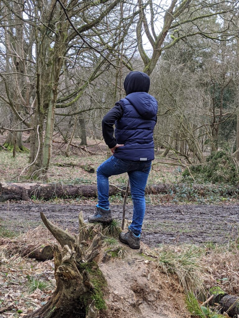 National Trust Noticing Nature Project | Free Time with the Kids