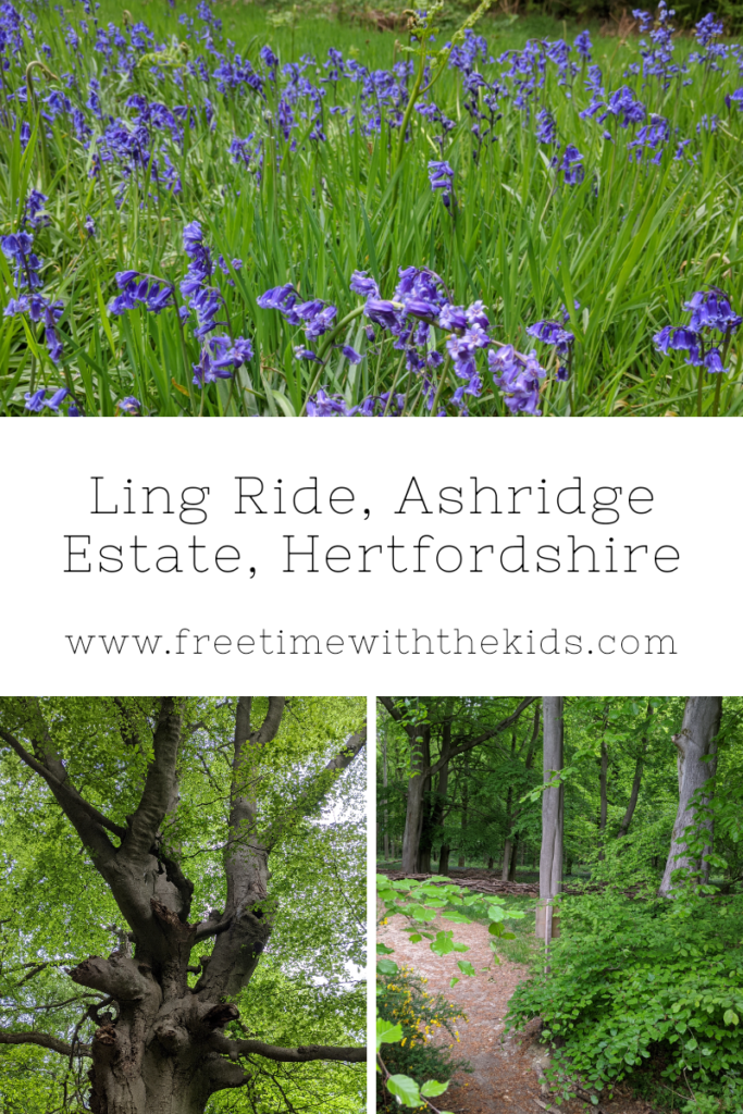 Ling Ride, Ashridge review, Hertfordshire | Free Time with the Kids