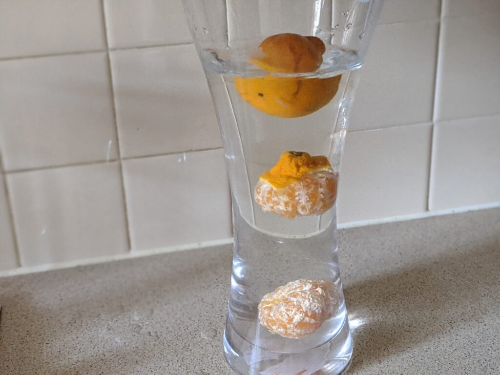 Floating oranges science experiment | Free Time with the Kids