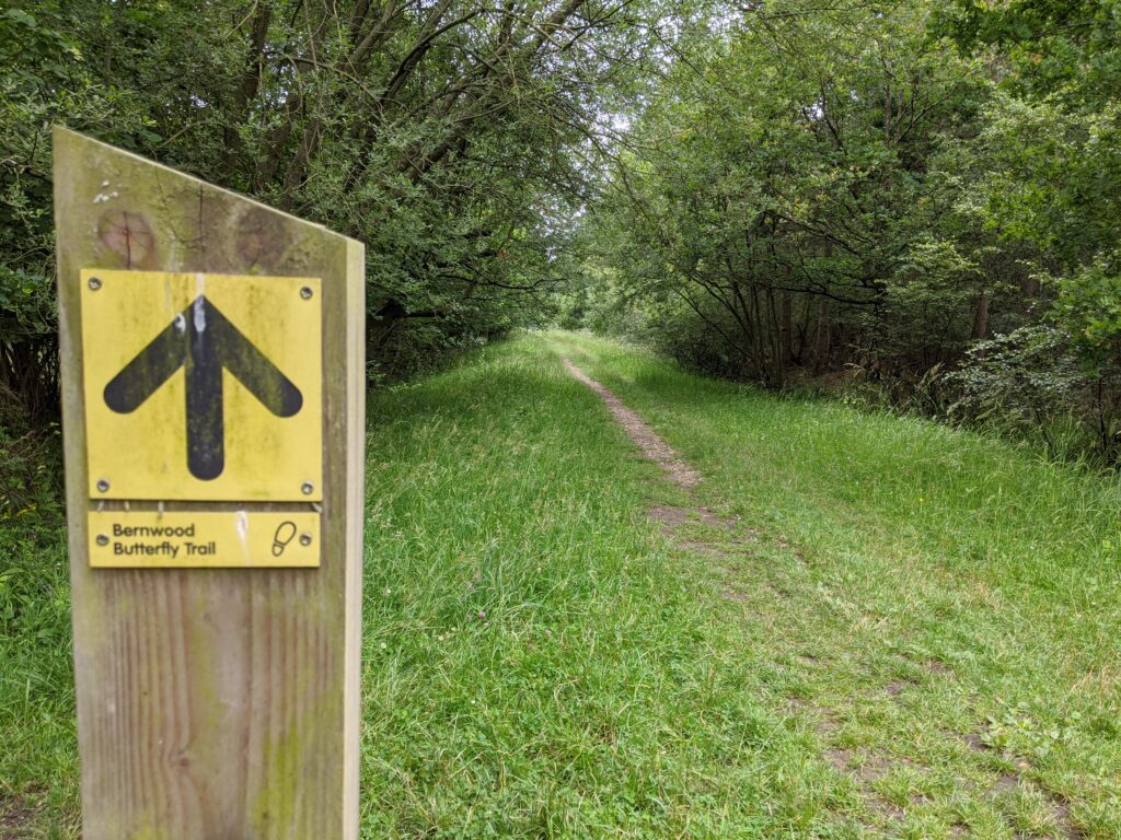 Bernwood Forest Butterfly Trail | South Oxfordshire family walks | Review by Free Time with the Kids