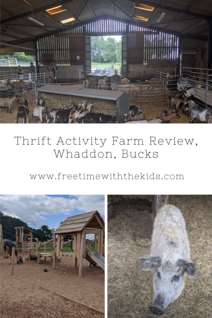 Thrift Activity Farm review | Free Time with the Kids | Things to do with the children in Buckinghamshire