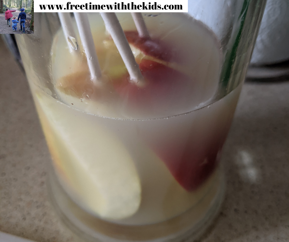 Chocolate covered apple slices recipe | Free Time with the Kids