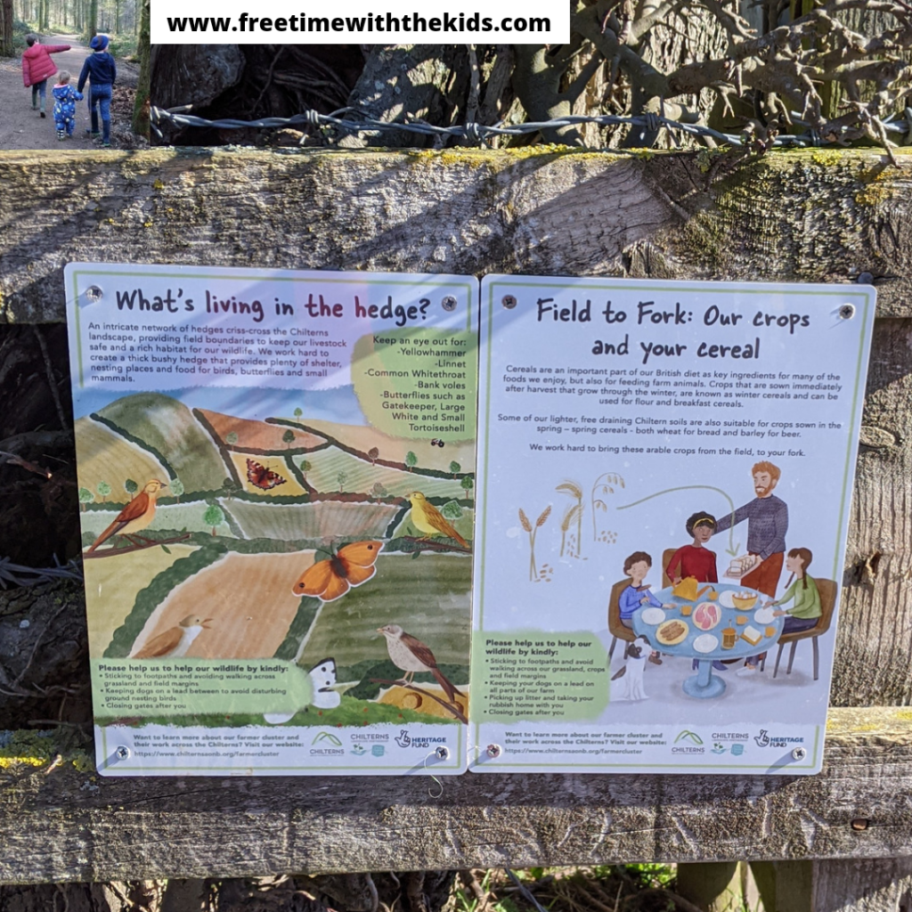 Family friendly walks in Weston Turville, near Aylesbury, Buckinghamshire | Easy circular walks | Church Farm | Free Time with the Kids