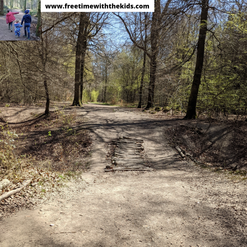 Penn Woods | Amersham, Buckinghamshire | Woodland walks | Bluebells | Review by Free Time with the Kids