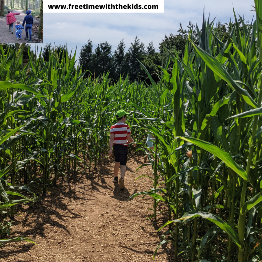 Millets Maize Maze review, Millets Farm Centre, Oxfordshire | Review by Free Time with the Kids