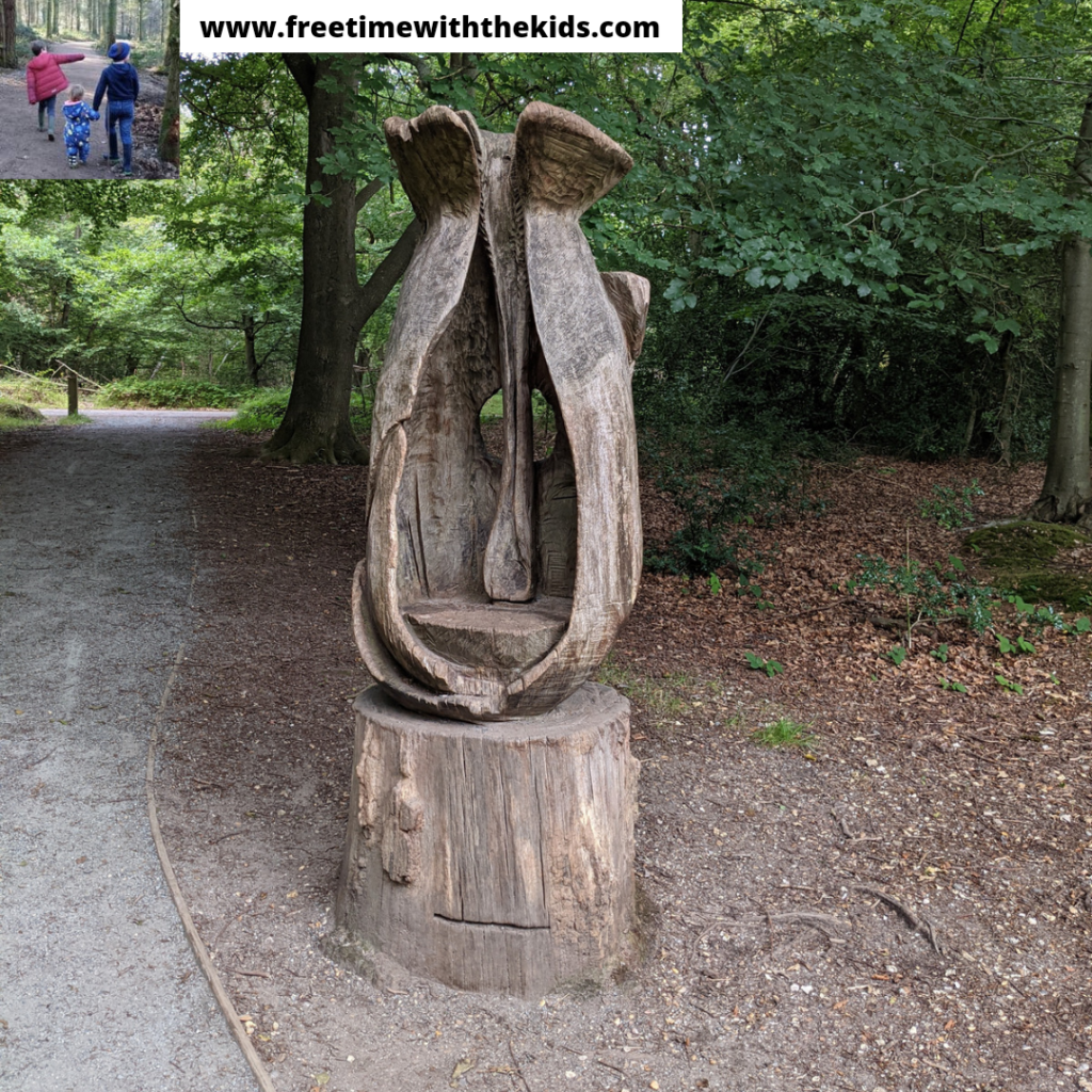 Burnham Beeches Review | Slough, Buckinghamshire | Review by Free Time with the Kids | Woodland walks and family days out