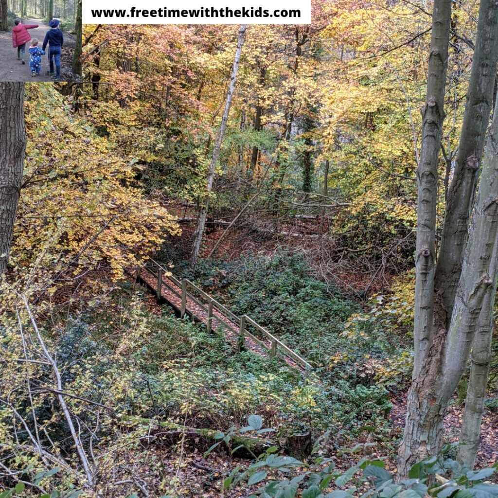 Review of the CS Lewis Nature Reserve, Oxford | Free Time with the Kids | Free things to do & days out with families in Oxfordshire