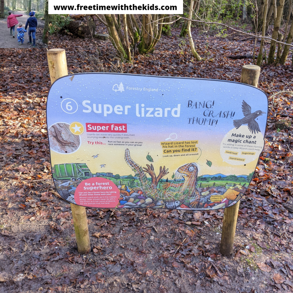 Superworm trail Wendover Woods, Aylesbury, Buckinghamshire | Free Time with the Kids | Forestry England
