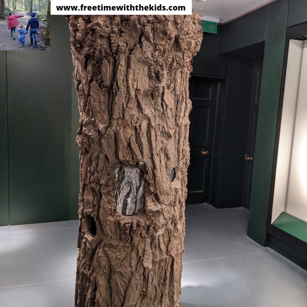 Discover Bucks Museum Review | Free Time with the Kids | Family days out in Buckinghamshire