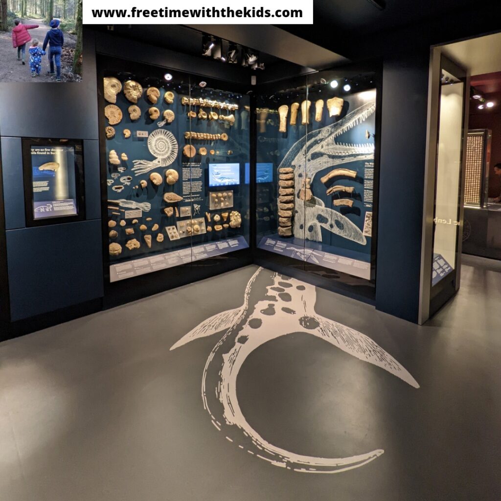 Discover Bucks Museum Review | Free Time with the Kids | Family days out in Buckinghamshire