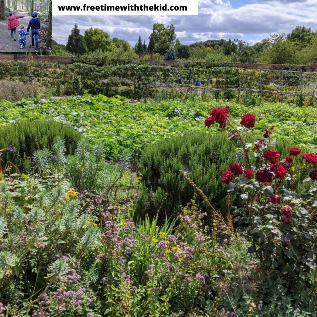 Wimpole Hall, Cambridgeshire review | Free Time with the Kids | Cheap family days out in the UK | National Trust