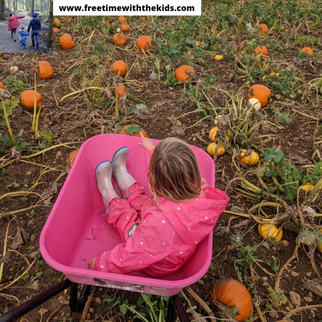 The Patch MK pumpkin patch review Buckinghamshire | Review by Free Time with the Kids | Family days out | Halloween & October half term