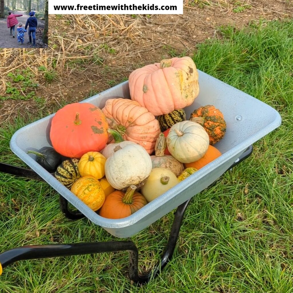 The Patch MK pumpkin patch review Buckinghamshire | Review by Free Time with the Kids | Family days out | Halloween & October half term