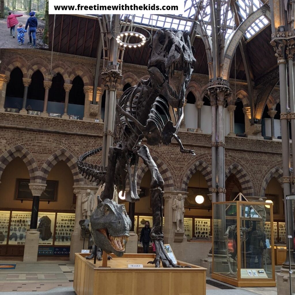 Review of Oxford Natural History Museum | Review by Free Time with the Kids
