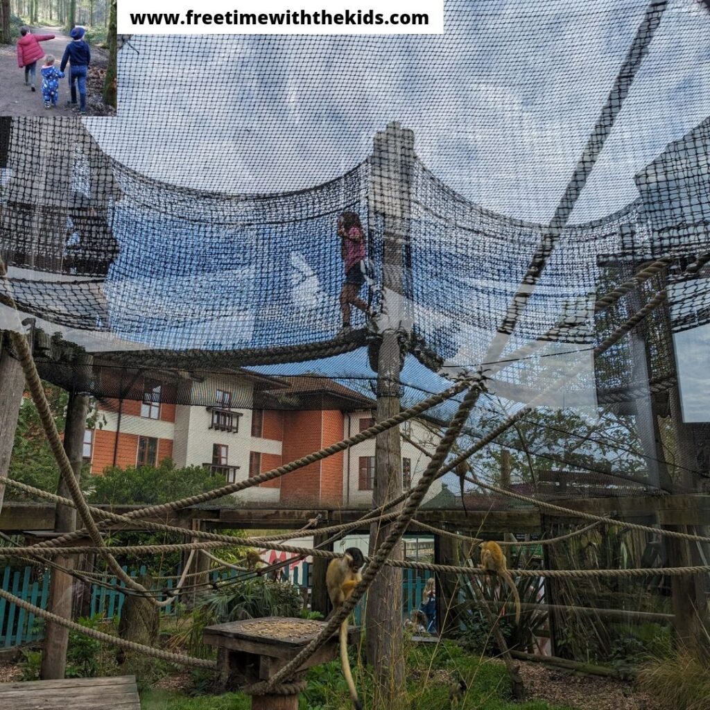 A review of Chessington World of Adventures in Surrey ?|?  Review by Free Time with the Kids
