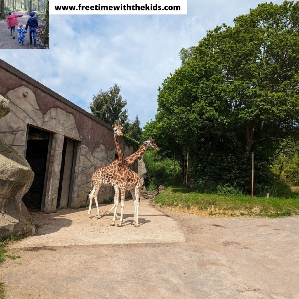 A review of Chessington World of Adventures in Surrey ?|?  Review by Free Time with the Kids