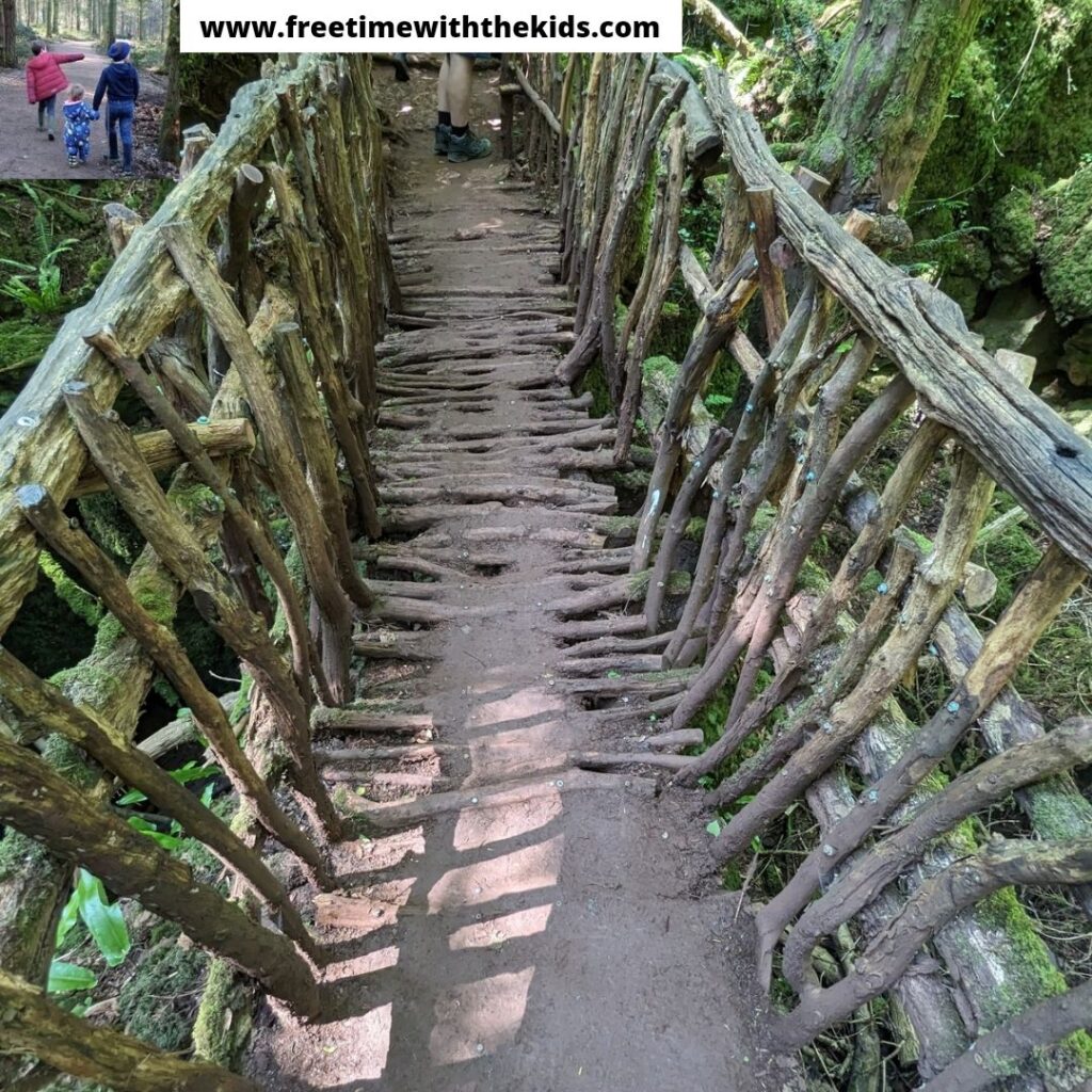 Puzzlewood review, Forest of Dean, Gloucestershire | Review by Free Time with the Kids