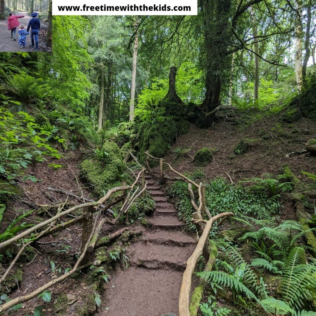 Puzzlewood review, Forest of Dean, Gloucestershire | Review by Free Time with the Kids