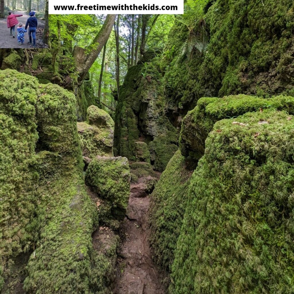 Puzzlewood review, Forest of Dean, Gloucestershire | Review by Free Time with the Kids