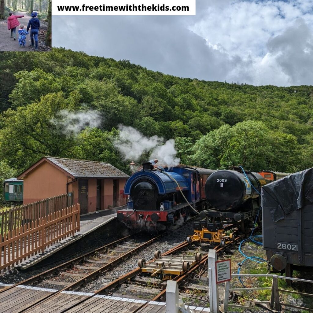 Gwili Railway review, Carmarthen | Review by Free Time with the Kids | Cheap family things to do in Wales