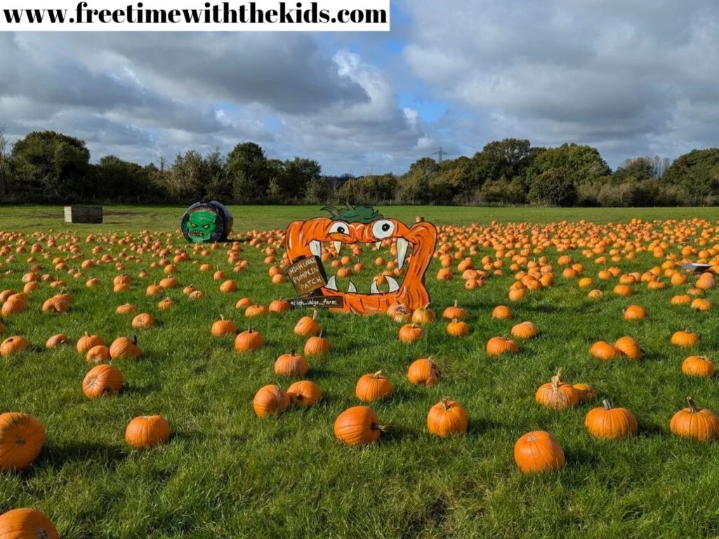 High Lodge Farm Pumpkin Patch review, Abingdon, Oxfordshire | Review by Free Time with the Kids | Halloween activities in Oxon